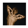 la forme no. 2.001